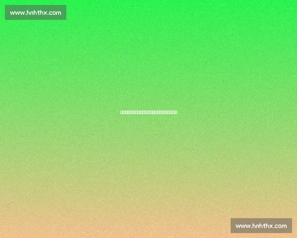 湖人对决热火精彩直播赛况分析与全场精彩瞬间回顾